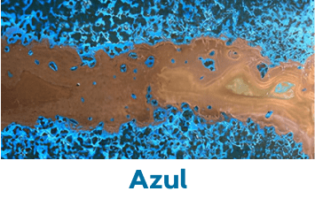 Shop Azul Today